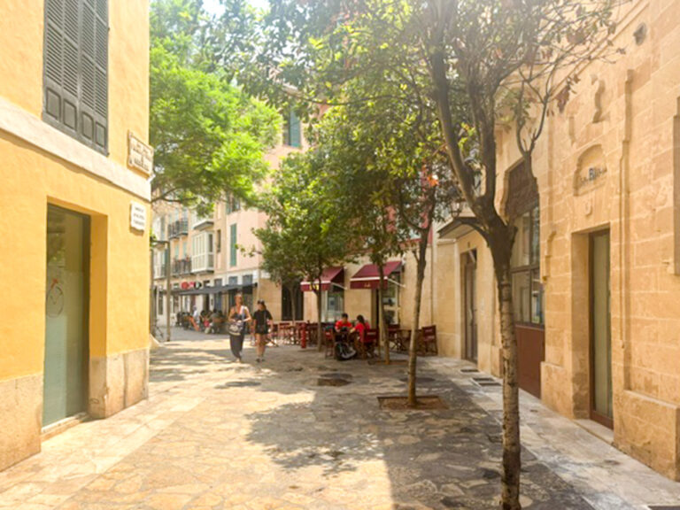 Tree-lined street in Palma Old Town